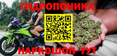 ПСИЛОЦИБИНОВЫЕ ГРИБЫ Донской