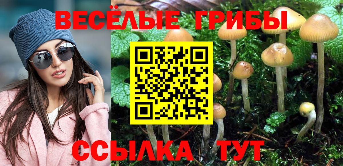 Псилоцибиновые грибы мухоморы Ноябрьск