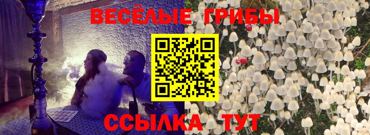 Псилоцибиновые грибы Magic Shrooms  Вход с VPN  Псилоцибиновые грибы прущие грибы  Ноябрьск 